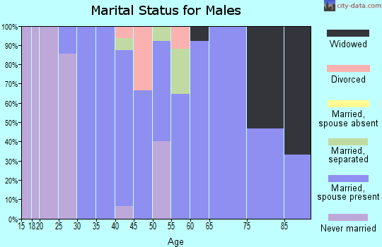 Zip code 52047 marital status for males