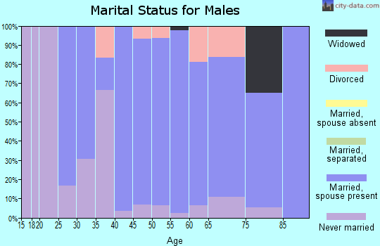 Zip code 52054 marital status for males