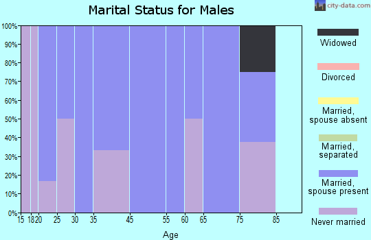 Zip code 52056 marital status for males