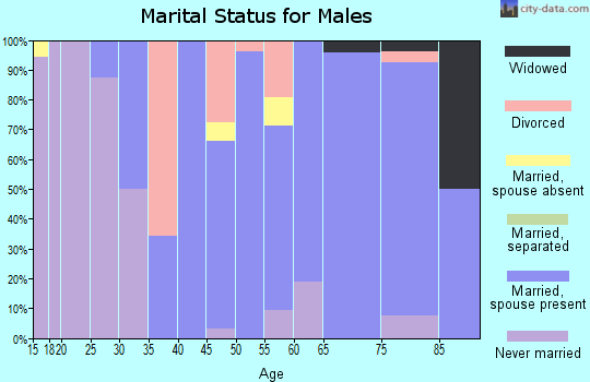 Zip code 52064 marital status for males