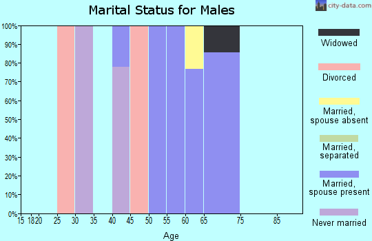 Zip code 52066 marital status for males