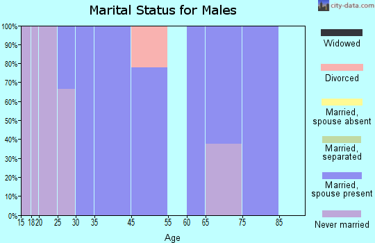 Zip code 52071 marital status for males