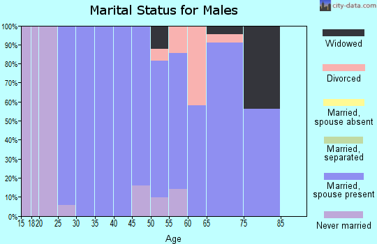 Zip code 52073 marital status for males