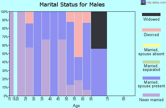 Zip code 52074 marital status for males