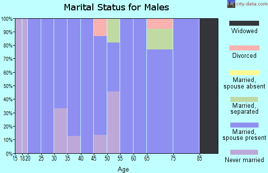 Zip code 52077 marital status for males