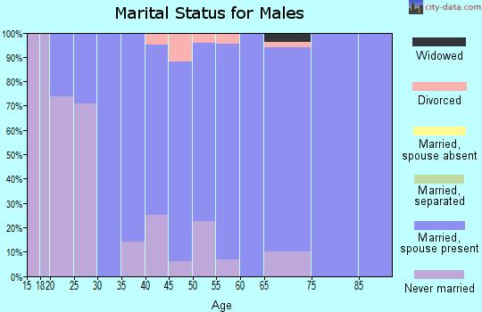 Zip code 52078 marital status for males