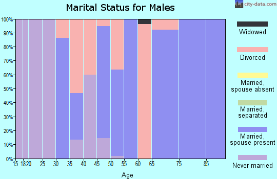 Zip code 52079 marital status for males