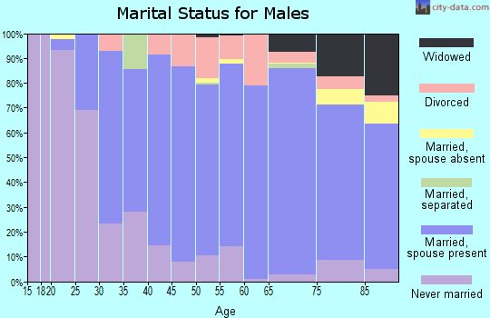 Zip code 52101 marital status for males