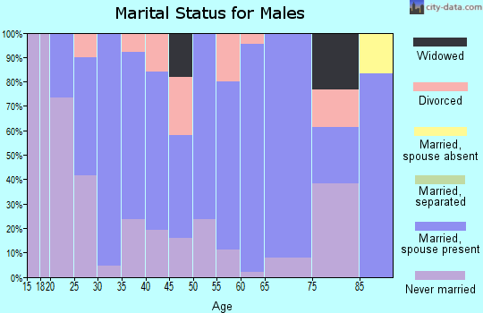 Zip code 52132 marital status for males