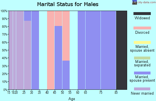 Zip code 52134 marital status for males