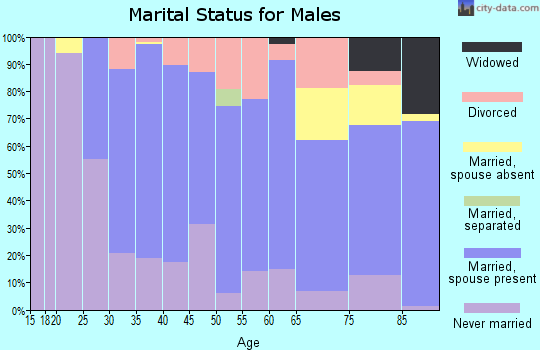 Zip code 52136 marital status for males