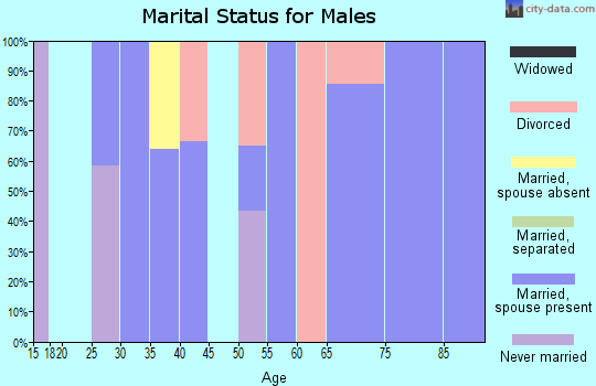 Zip code 52140 marital status for males