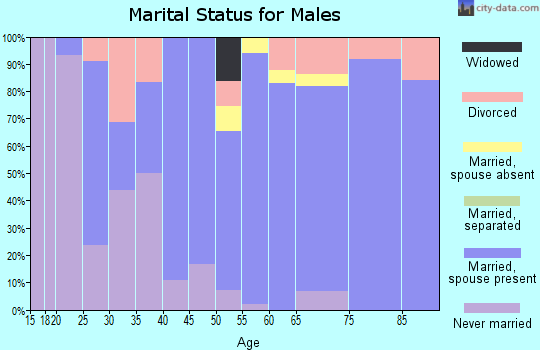 Zip code 52141 marital status for males