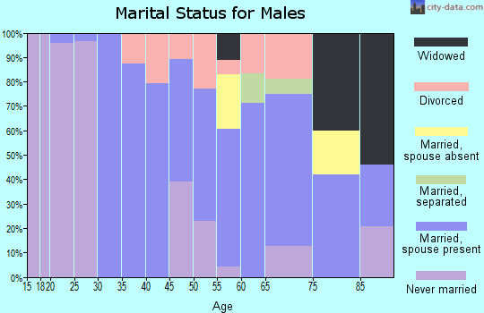 Zip code 52142 marital status for males