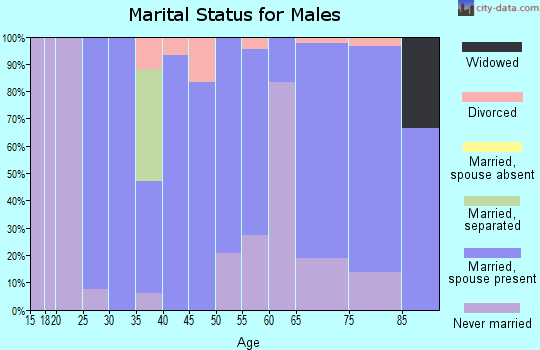 Zip code 52144 marital status for males
