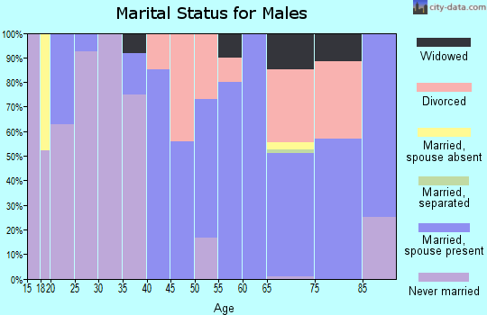 Zip code 52146 marital status for males