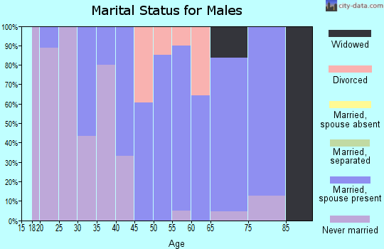 Zip code 52154 marital status for males