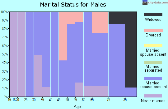 Zip code 52155 marital status for males