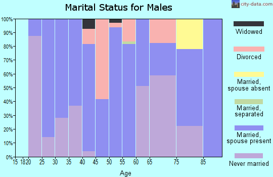 Zip code 52156 marital status for males