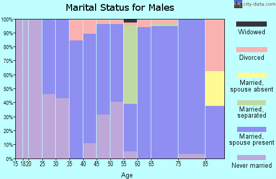 Zip code 52161 marital status for males