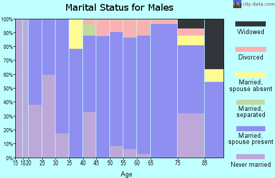 Zip code 52162 marital status for males