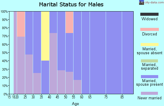 Zip code 52163 marital status for males