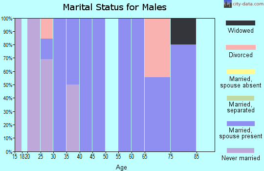 Zip code 52168 marital status for males
