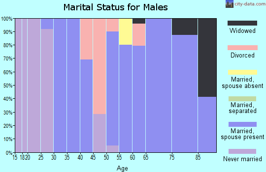 Zip code 52169 marital status for males