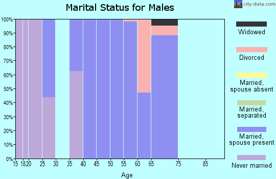 Zip code 52170 marital status for males