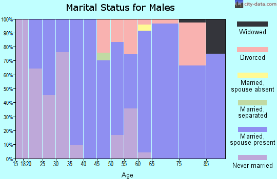 Zip code 52171 marital status for males