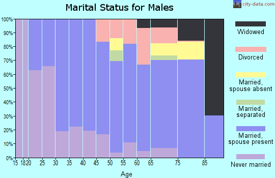 Zip code 52172 marital status for males