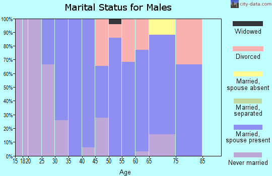 Zip code 52201 marital status for males