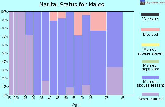Zip code 52202 marital status for males