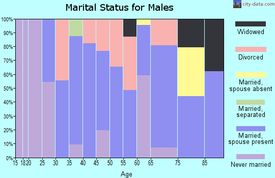 Zip code 52203 marital status for males