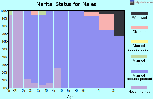 Zip code 52206 marital status for males
