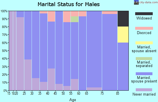 Zip code 52209 marital status for males