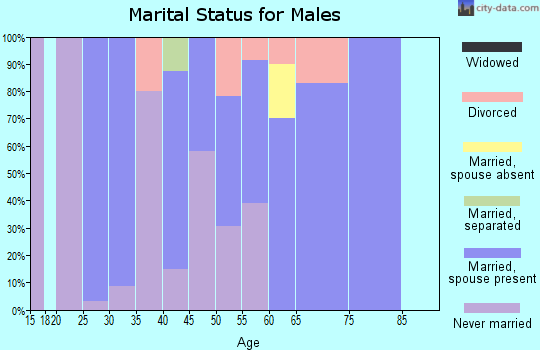 Zip code 52210 marital status for males