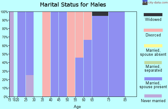 Zip code 52212 marital status for males