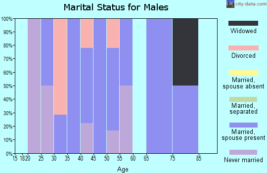 Zip code 52219 marital status for males