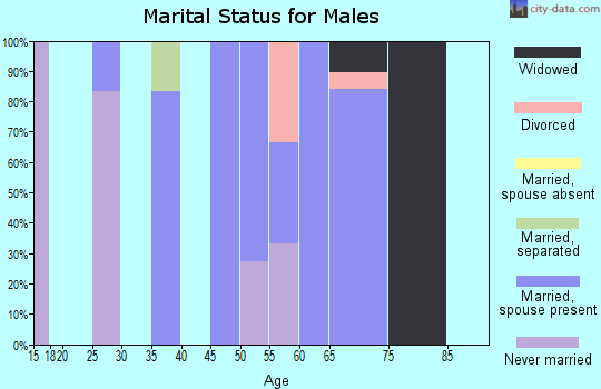 Zip code 52221 marital status for males