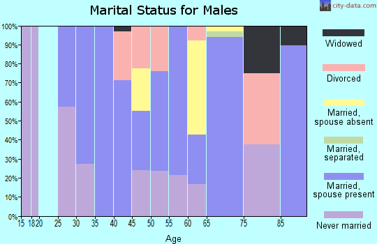 Zip code 52223 marital status for males