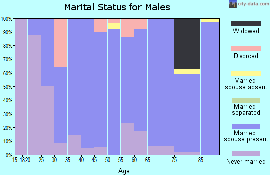 Zip code 52224 marital status for males