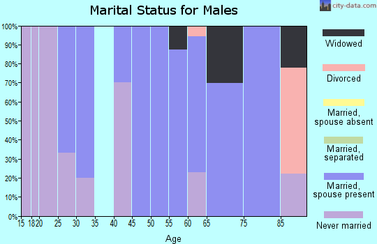 Zip code 52225 marital status for males