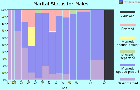 Zip code 52228 marital status for males