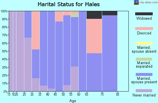 Zip code 52229 marital status for males
