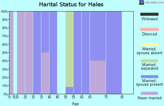 Zip code 52232 marital status for males