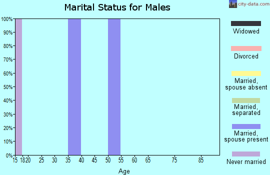 Zip code 52307 marital status for males