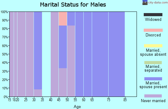 Zip code 52312 marital status for males