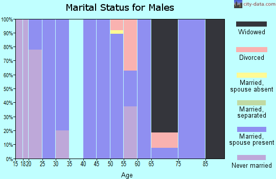 Zip code 52313 marital status for males
