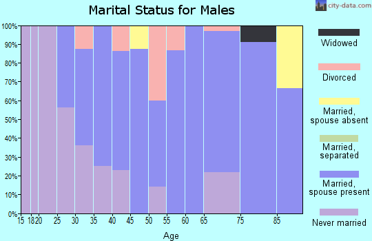 Zip code 52315 marital status for males
